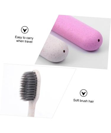 Plafope 2-Pack Ultra Toothbrush Set Gum Care Tooth Cleaning Tool with Long Grip Sorted Colors for Optimal Dental Hygiene - Buy Online on GoSupps.com