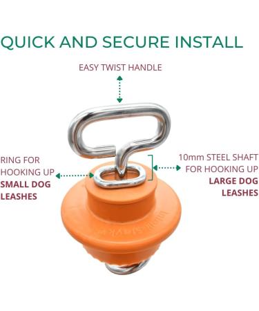 Intellileash Dog Tie Out Intelli-Stayk - Buy Online on GoSupps.com