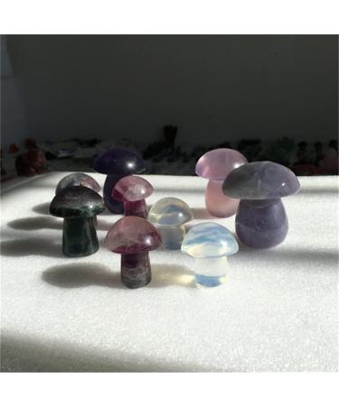 Crystal Rough Home Decoration Natural Quartz Mushroom Shape Crystal Carving Angel Aura Crystal Carved Mushroom for Decoration Stones (Color : Aura 5-6cm Size : 1 pcs) 1 pcs Aura 5-6cm - Buy Online on GoSupps.com