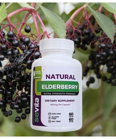 Sevita Supplements Elderberry Extra Strength Formula - 600mg. 60 Vegetarian capsules - Buy Online on GoSupps.com