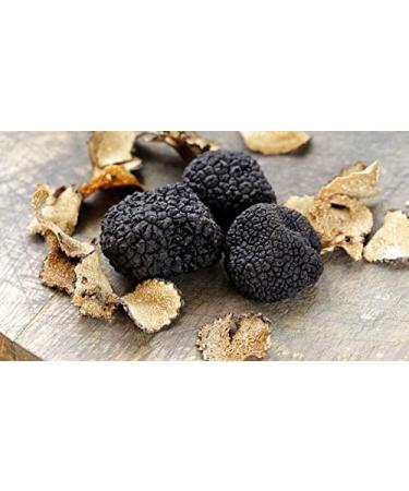 Truffle Sauce 190g - Artisan Truffle Sauce from Umbria Italy for Chefs & Restaurants - Buy Online on GoSupps.com