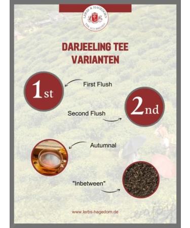  Lerbs & Hagedorn Darjeeling First Flush Second FlushTGFOP1 Spring Season Superior 1 kg - Buy Online on GoSupps.com