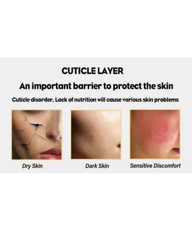 Whitening Ceramide Moisturizing Cream | Best Face Moisturizer for Dry Skin Pore Shrink Firming & Anti-Aging Repair (1 PACK) - Shop Internationally - Buy Online on GoSupps.com