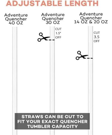 6 Straws and 1 Brush Reusable Straws Plastic Clear Reusable Straws - Buy Online on GoSupps.com