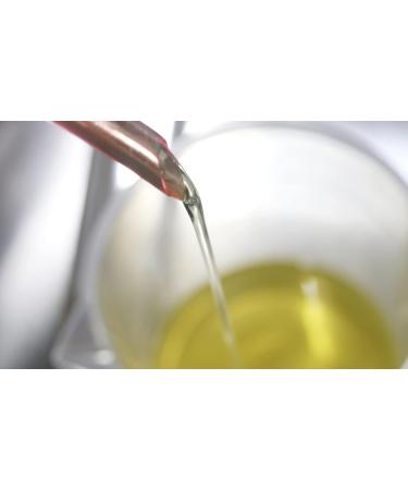 100% Pure Organic Japanese Camellia Oil | Cold Pressed Moisturizing Oil - 1.2FL. OZ (35ml) | Ships Worldwide - Buy Online on GoSupps.com