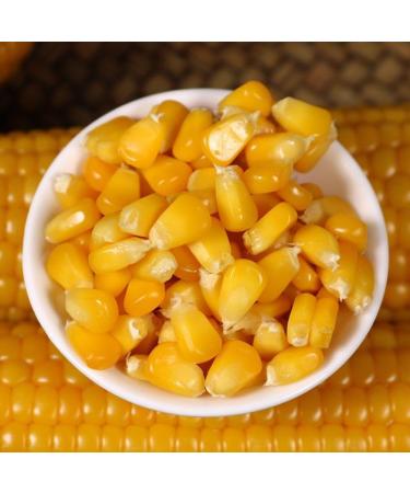 Delicious yellow glutinous corn stick sweet corn fresh corn vegetable snacks nutritious breakfast Coarse grains cereal Dim sum dessert sweets Chinese snack gift pack convenience food (8 bags) - Buy Online on GoSupps.com