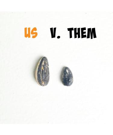 SMACKIN' Sunflower Seeds | Roasted Jumbo Sunflower Seeds | 54 Bag Seed Bucket | 1.5 Ounce Flavored Sunflower Seeds | Small-Batch American Made Sunflower Seeds (Garlic Parmesan) - Buy Online on GoSupps.com