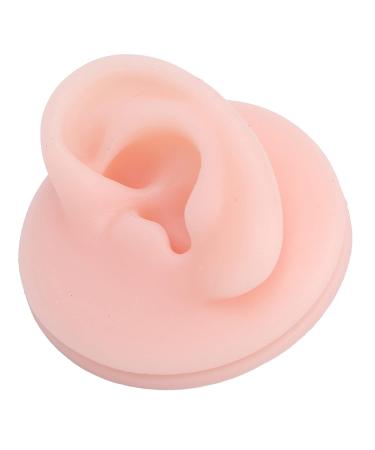 Flexible Model Rubber Ear for Education - Transparent Silicone Simulation for Audio Music Recording Teaching - Buy Online on GoSupps.com