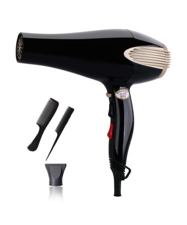 2200W High-Power Hair Dryer Salon Grade Professional Hairdryer Powerful Hair Dryer Fast Blow Dryer Ionic Hairdryer 2 Speed and 3 Heat Setting Powerful DC Motor with Concentrator Nozzle and Comb small