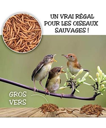 Dried Meal Worms 2 kg Fits 12500 ml Treats for Birds Fish Turtles Hedgehogs Rodents and Reptiles - Buy Online on GoSupps.com