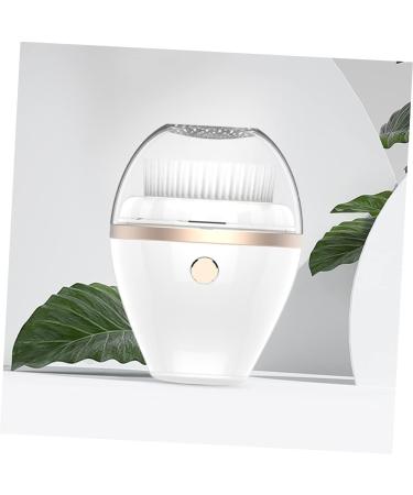 DOITOOL Facial Cleanser Facial Tools for Skin Care Skin Care Tools Facial Cleaner Skincare Tools Face Tool Spa Brush Plating Portable White Man Scrubber - Buy Online on GoSupps.com