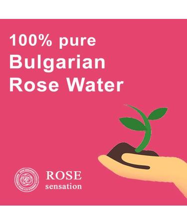 Buy 100% Natural Rose Water Anti-Aging Toner 16 Fl Oz | Wholesale for All Skin Types - Buy Online on GoSupps.com