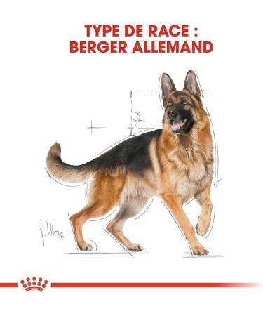 ROYAL CANIN German Shepherd Adult Dog Food 11kg - Buy Online on GoSupps.com