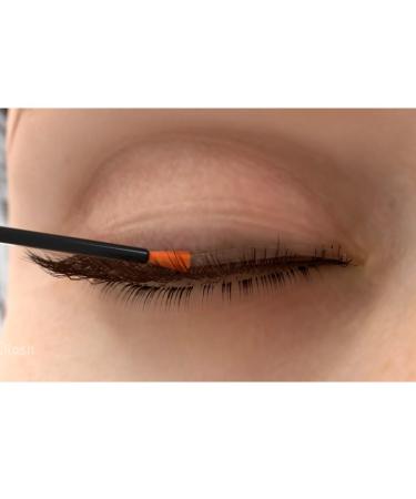 Cilash Forte Plus Brauerum - Dense & Full Eyebrows Growth Serum | Clinically Tested | 3ml - Healthier Nicer Appearance - Buy Online on GoSupps.com