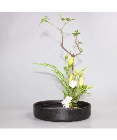 Stainless Steel Flower Frog Arrangement Holder - 2 Inch (2pcs) - Buy Online on GoSupps.com