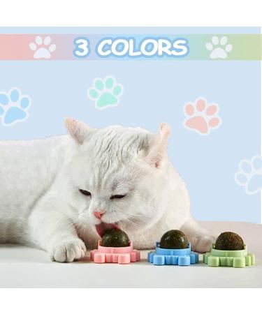 Havenfly 3 Catnip Balls Interactive Cat Toys 360 Rotating Catnip Treats with Storage Lid Effective for Cleaning Teeth and Enhancing Cat's Excitement (3PCS) - Buy Online on GoSupps.com