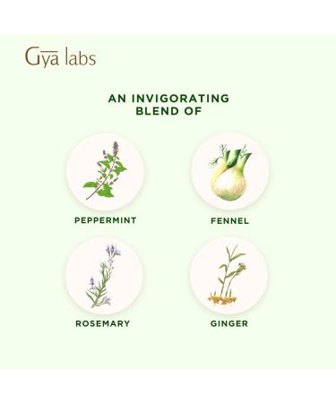Gya Labs Digestion Relief Essential Oil Blend 100% Pure Natural Fresh & Herbaceous Scent - 0.34 Fl Oz - Buy Online on GoSupps.com