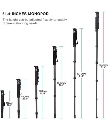 SIRUI P-326 6-Section Carbon Fiber Monopod - Lightweight, Durable, and Stable - Buy Online on GoSupps.com
