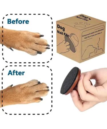 DYM Products Lima de u as para Perros tablero de Lima de u as para Perros tablero para rascar u as de perro corta as para Perros corta as para cachorros. - Buy Online on GoSupps.com