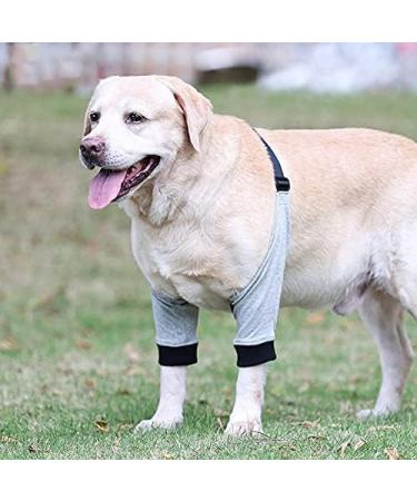 Dog Elbow Brace Pads for Canine Elbow and Shoulder Support Elbow Hygroma Dysplasia Elbow Calluses Osteoarthritis Pressure Sores and Shoulder Dislocation for Canine Elbow qzjijosen (L) - Buy Online on GoSupps.com