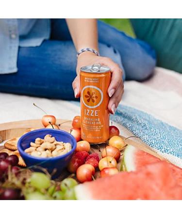 IZZE Sparkling Juice Variety Pack - No Added Sugar & Preservatives - 90 Calories - 24ct (8.4oz) - Ready Set Gourmet, Donate a Meal Program - Buy Online on GoSupps.com