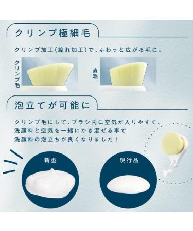 SHOBIDO Rich Whip Brush More - Buy Online on GoSupps.com