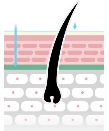 Eyebrow Color Lightening Kit - Nourishing & Soothing Skin Care | Brightening Face & Eyebrow Cream | For Adults Women And Girls At Home Room - Buy Online on GoSupps.com