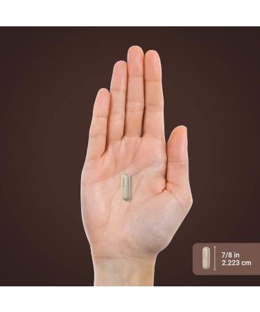 Piping Rock Black Garlic Capsules 1500mg | 60 Count | Aged and Fermented | Non-GMO Gluten Free - Buy Online on GoSupps.com