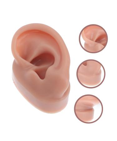 Angoily Human Ear Acupuncture Model - 1pc Silicone Display Ear Simulator for Massage & Learning | 6.5x3.5cm - Buy Online on GoSupps.com