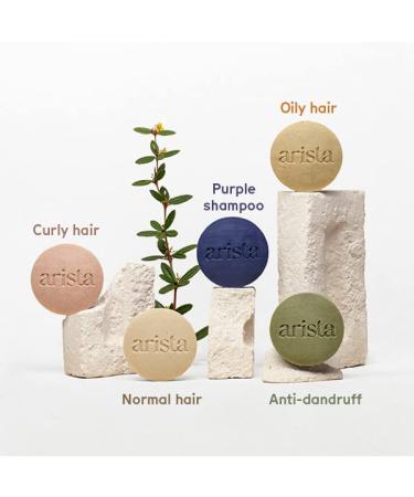 Arista Purple Shampoo Bar with Amla Fruit Powder & Castor Oil - Moisturizing Solid Shampoo for Grey Hair - Buy Online on GoSupps.com