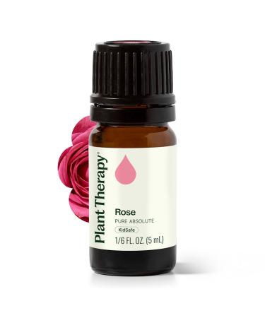 Plant Therapy Rose Absolute Essential Oil 5 mL (1/6 oz) 100% Pure Undiluted Calming & Emotionally Grounding Great Essential Oil for Skincare 0.16 Fl Oz (Pack of 1)