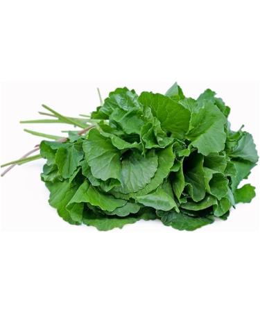 Fresh Vallarai Leaves and Ponnaganni Leaves Bunch | Combo Bunch |Healthy | Perfect Cooking for Vegans and Vegetarian etc.. | Approx 350 to 400G| Next Day Shipping By Seelans