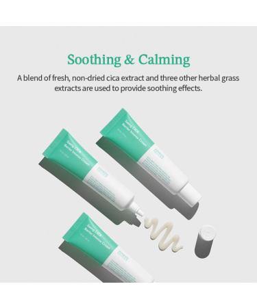 Saeng Cica Barrier Intense Cream | Soothing Korean Skincare Moisturizer for Dry & Irritated Skin - Buy Online on GoSupps.com