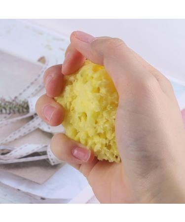 FRCOLOR 1PC Sponge for Bathing Bath Sponge Natural Sponge Honeycomb Sponge Bath Shower Sponge aldult Bath Ball Bath Wipe - Buy Online on GoSupps.com