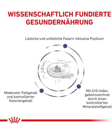 ROYAL CANIN Dog Food Nutrition Neutered Adult Small Dog Vet Care 3.5 Kg Adult 3.5 kg (Pack of 1) - Buy Online on GoSupps.com