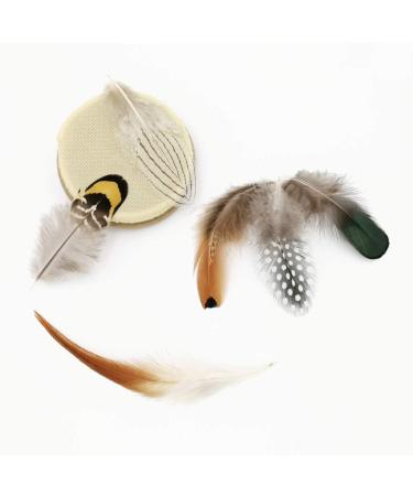 180pcs Natural Feathers Assorted for Dream Catcher Crafts - 6 Styles/180 Pcs - Buy Online on GoSupps.com