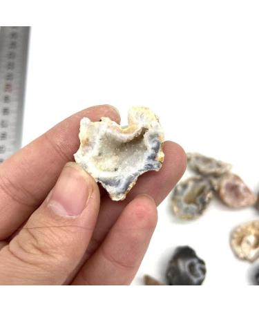 Natural Crystal Rough Natural Crystal 3pc Natural Brazil Crystal Geode Cluster for Stones - Buy Online on GoSupps.com