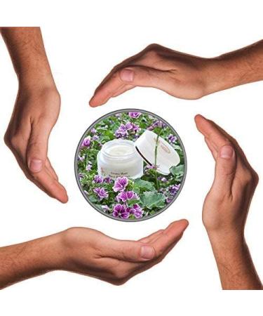 Snail Green Face Cream Snail Slime 50 ml Anti-Wrinkle Acne Healing Regenerating with Hyaluronic Acid Aloe Vera 100% Made in Italy - Buy Online on GoSupps.com