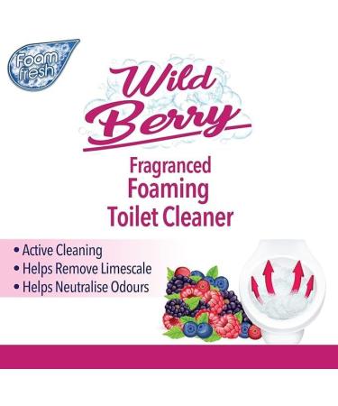 2 x 370G Wild Berry Foaming Toilet Cleaner Amazing Fragrance Deep Cleaning Action Powder Cleaning Foam and Extra Freshness Toilet Cleaner (Wild Berry) - Buy Online on GoSupps.com