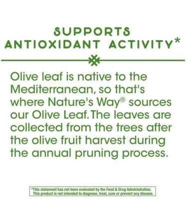 Nature's Way Olive Leaf Extract 1500mg - 100 Capsules | Premium Herbal Supplement - Buy Online on GoSupps.com