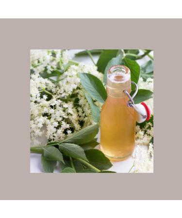 Sirop au go t de Rose Mixybar FABBRI pour g teaux glac Yogurt Long Drink Cocktail Caffe Syrup 1 L - Buy Online on GoSupps.com