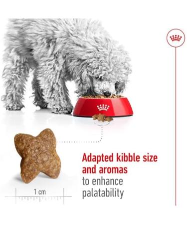 Royal Canin Mini Adult Dog Food 2kg Poultry 2 kg (Pack of 1) - Buy Online on GoSupps.com