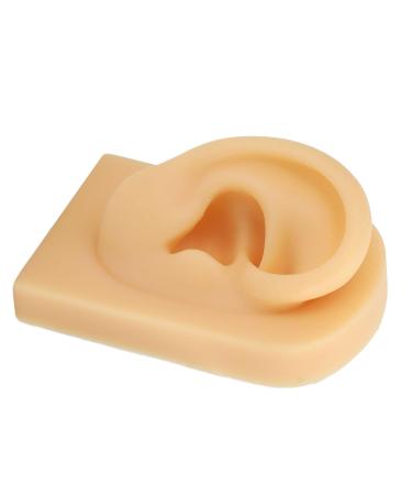High-Quality Human Silicone Ear Model for Hearing Aid Display - Soft & Elastic Simulation for Beginners - Buy Online on GoSupps.com
