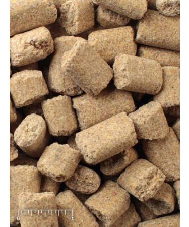 Mazuri Vegetarian Rat & Mouse Diet - 2 lb. Bag | Rodent Food - Buy Online on GoSupps.com