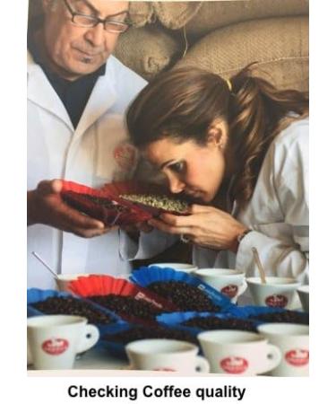  Saquella Saquella Espresso Major Bar Delikat Sustainable Cream 1kg Whole Bean - Buy Online on GoSupps.com