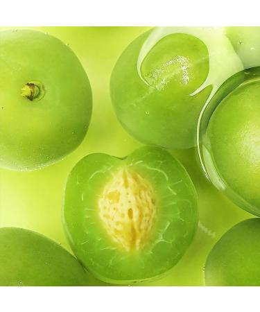 Sour sweet and crispy green plums250g/500g/1000g Crispy Plum Huamei fruit snacks preserved fruits Juicy plums Dried Fruit Vegan Healthy Snacks Food Sour crisp cold fruit fresh fresh plum (500g) - Buy Online on GoSupps.com