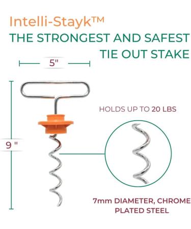 Buy Intelli-Stayk Mini Dog Pile | Locking Technology | Durable & Portable Dog Stakes - International Shipping Available - Buy Online on GoSupps.com