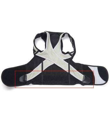 Adults Children Posture Corrector Back Shoulder Brace Support Kyphosis Spine Straight Corset Belt Orthoped Back Pain Relief Black Small - Buy Online on GoSupps.com