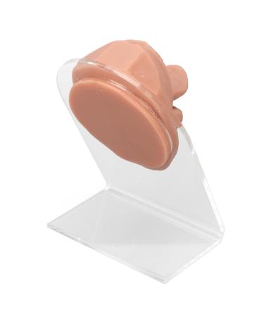 Soft Silicone Tongue Model with Acrylic Stand | Life-like Mouth Model for Jewelry & Piercing Practice | Ideal for Nursing Training - Meat Blonde - Buy Online on GoSupps.com