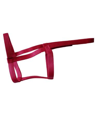 Rhinegold Field Safe Headcollar-Pony-Raspberry Pony Raspberry